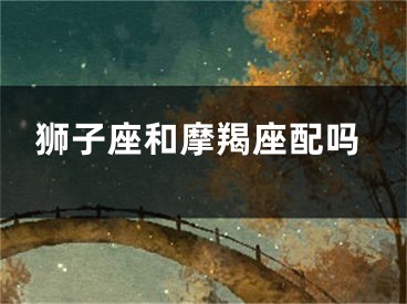 狮子座和摩羯座配吗