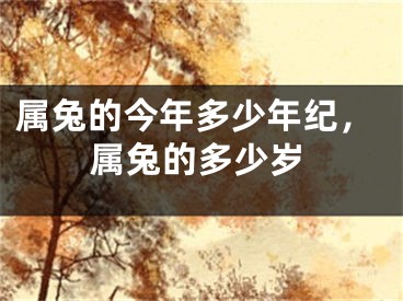 属兔的今年多少年纪，属兔的多少岁