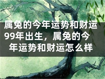 属兔的今年运势和财运99年出生,属兔的今年运势和财运怎么样