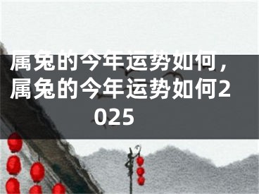 属兔的今年运势如何，属兔的今年运势如何2025