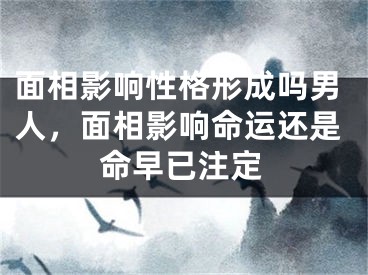 面相影响性格形成吗男人，面相影响命运还是命早已注定