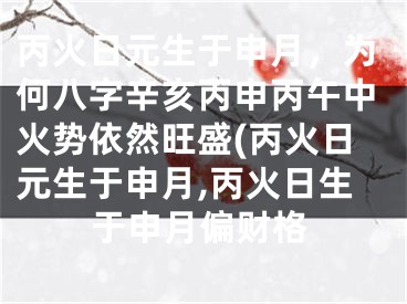 丙火日元生于申月,为何八字辛亥丙申丙午中火势依然旺盛(丙火日元生于申月,丙火日生于申月偏财格