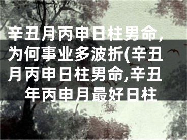 辛丑月丙申日柱男命，为何事业多波折(辛丑月丙申日柱男命,辛丑年丙申月最好日柱