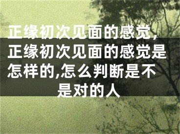 正缘初次见面的感觉，正缘初次见面的感觉是怎样的,怎么判断是不是对的人