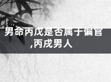 男命丙戊是否属于偏官,丙戌男人