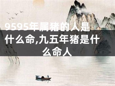 9595年属猪的人是什么命,九五年猪是什么命人