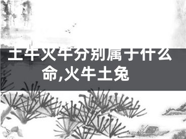 土牛火牛分别属于什么命,火牛土兔