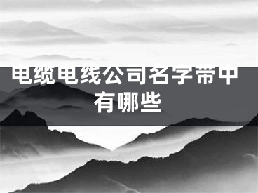 电缆电线公司名字带中有哪些