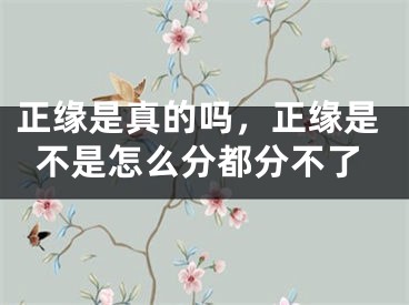 正缘是真的吗，正缘是不是怎么分都分不了