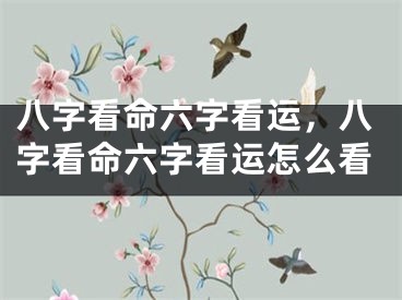 八字看命六字看运，八字看命六字看运怎么看