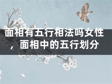 面相有五行相法吗女性，面相中的五行划分