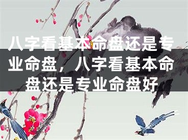 八字看基本命盘还是专业命盘，八字看基本命盘还是专业命盘好