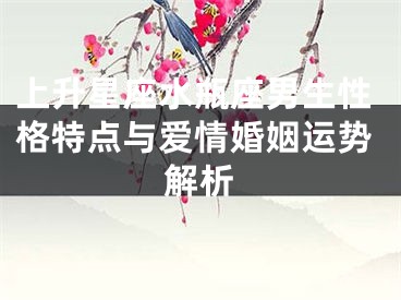 上升星座水瓶座男生性格特点与爱情婚姻运势解析