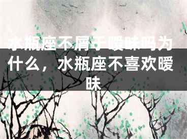水瓶座不屑于暧昧吗为什么，水瓶座不喜欢暧昧