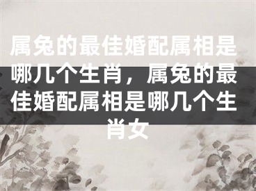 属兔的最佳婚配属相是哪几个生肖，属兔的最佳婚配属相是哪几个生肖女