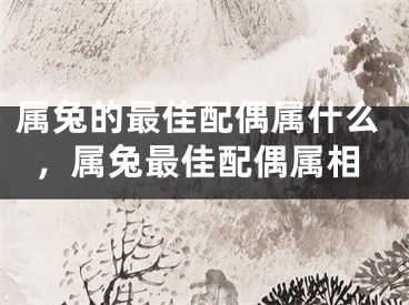 属兔的最佳配偶属什么，属兔最佳配偶属相