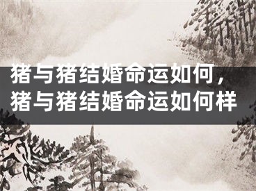 猪与猪结婚命运如何，猪与猪结婚命运如何样