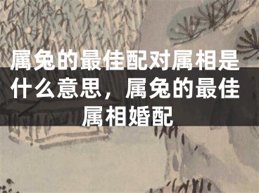 属兔的最佳配对属相是什么意思，属兔的最佳属相婚配