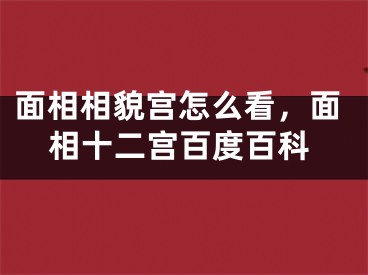 面相相貌宫怎么看，面相十二宫百度百科