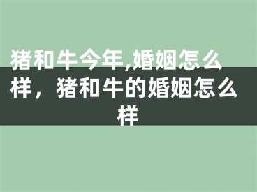 猪和牛今年,婚姻怎么样，猪和牛的婚姻怎么样