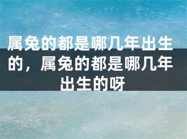 属兔的都是哪几年出生的，属兔的都是哪几年出生的呀