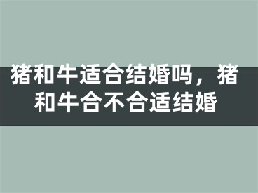 猪和牛适合结婚吗，猪和牛合不合适结婚