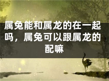 属兔能和属龙的在一起吗，属兔可以跟属龙的配嘛