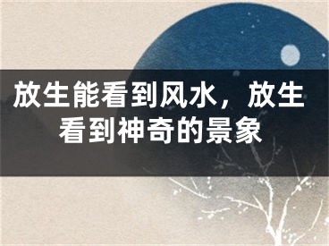放生能看到风水,放生看到神奇的景象