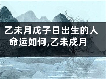乙未月戊子日出生的人命运如何,乙未戌月