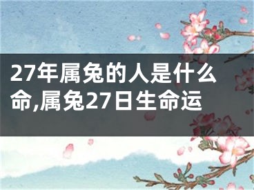 27年属兔的人是什么命,属兔27日生命运