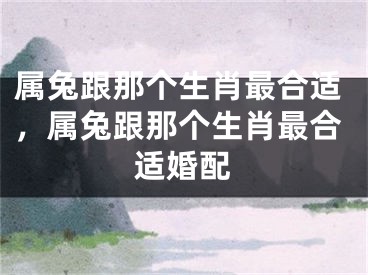 属兔跟那个生肖最合适，属兔跟那个生肖最合适婚配