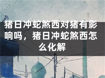 猪日冲蛇煞西对猪有影响吗，猪日冲蛇煞西怎么化解