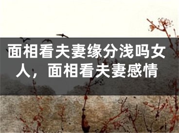 面相看夫妻缘分浅吗女人，面相看夫妻感情