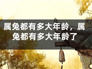 属兔都有多大年龄，属兔都有多大年龄了