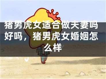 猪男虎女适合做夫妻吗好吗，猪男虎女婚姻怎么样
