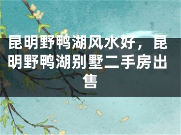 昆明野鸭湖风水好，昆明野鸭湖别墅二手房出售
