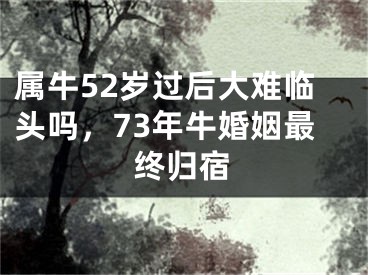 属牛52岁过后大难临头吗，73年牛婚姻最终归宿