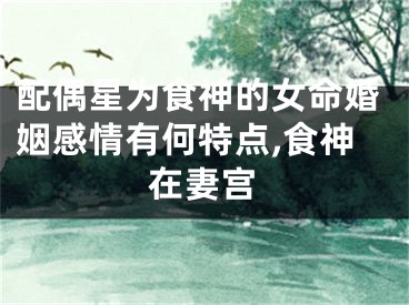 配偶星为食神的女命婚姻感情有何特点,食神在妻宫