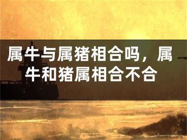 属牛与属猪相合吗，属牛和猪属相合不合