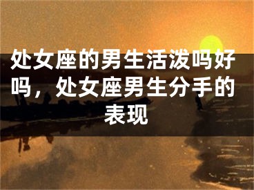 处女座的男生活泼吗好吗，处女座男生分手的表现
