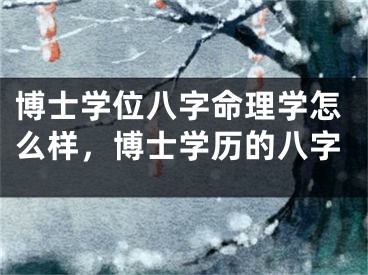 博士学位八字命理学怎么样,博士学历的八字