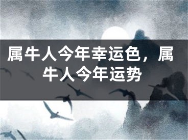 属牛人今年幸运色，属牛人今年运势