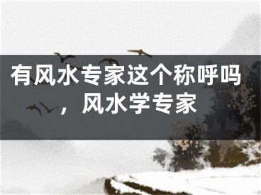 有风水专家这个称呼吗，风水学专家