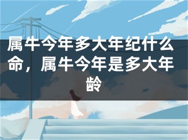 属牛今年多大年纪什么命，属牛今年是多大年龄