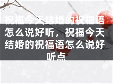 祝福今天结婚的祝福语怎么说好听，祝福今天结婚的祝福语怎么说好听点