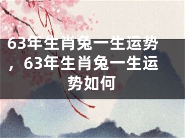 63年生肖兔一生运势，63年生肖兔一生运势如何