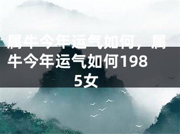 属牛今年运气如何，属牛今年运气如何1985女