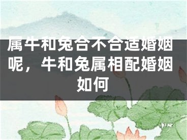 属牛和兔合不合适婚姻呢,牛和兔属相配婚姻如何