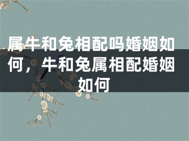 属牛和兔相配吗婚姻如何，牛和兔属相配婚姻如何