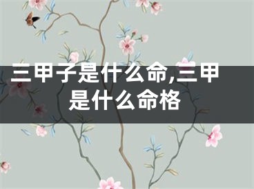 三甲子是什么命,三甲是什么命格